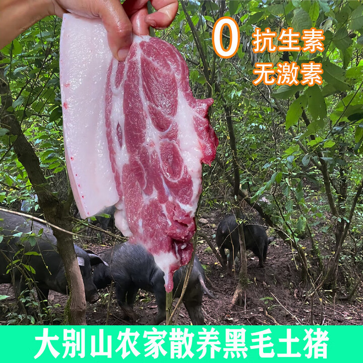 大别山土猪肉黑毛农家散养新鲜现杀猪排五花肉一号土猪跑山猪笨猪 Z18土黑猪肥膘4斤【图片 价格 品牌 报价】 京东 