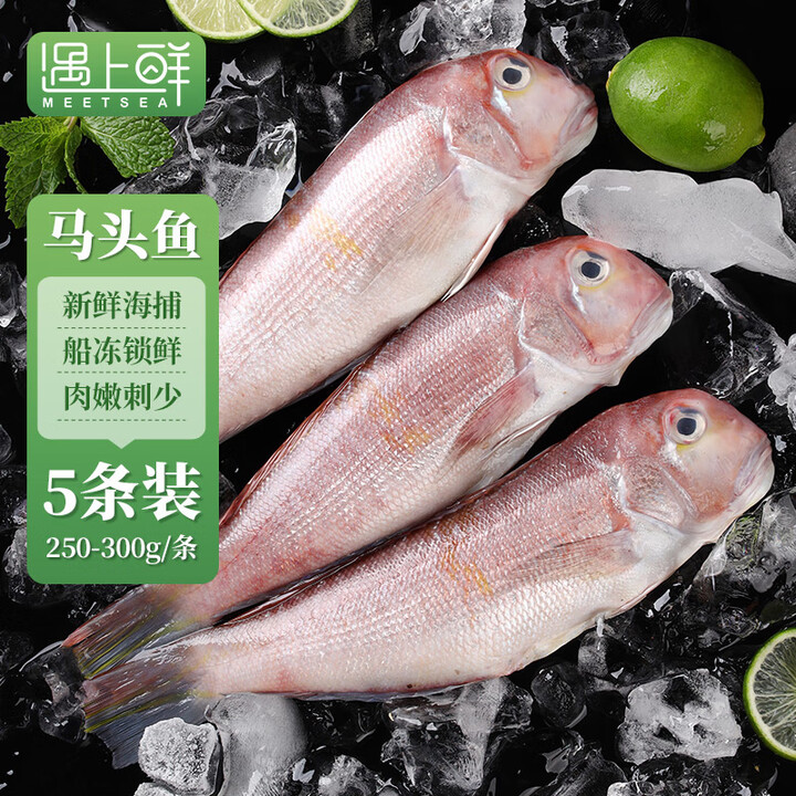 【遇上鲜250-300g/条*5】遇上鲜 舟山马头鱼 海捕冷冻方头鱼甘鲷 净重1250g 单条250g+ 源头直发【行情 报价 价格 评测】-京东