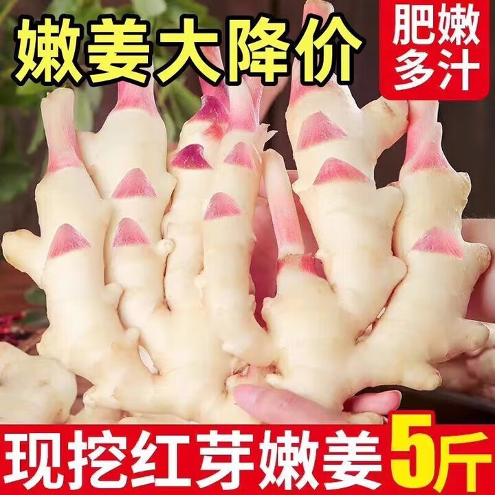 现挖红芽嫩姜5斤装姜芽仔姜嫩姜鲜姜红芽姜子姜生姜糖醋泡姜批发 带箱约【家庭尝鲜】 1斤【图片 价格 品牌 报价】-京东