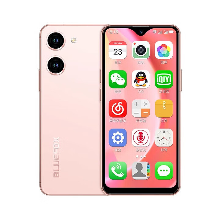 蓝狐（BLUEFOX）/蓝狐（数码） GT8 Pro通4G迷你网红卡片智能小屏 4G通_标配_6GB+ 活力粉