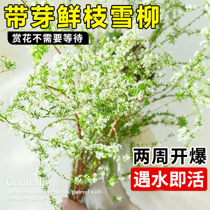 京东(JD.COM)-正品低价、品质保障、配送及时、轻松购物！