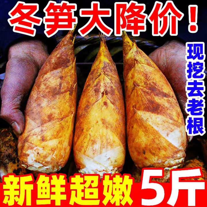 湖南新鲜冬笋现挖笋野生竹笋新鲜蔬菜农家深山毛竹笋春笋黄泥冬笋 2-4两 单个 5斤新鲜笋【图片 价格 品牌 报价】-京东