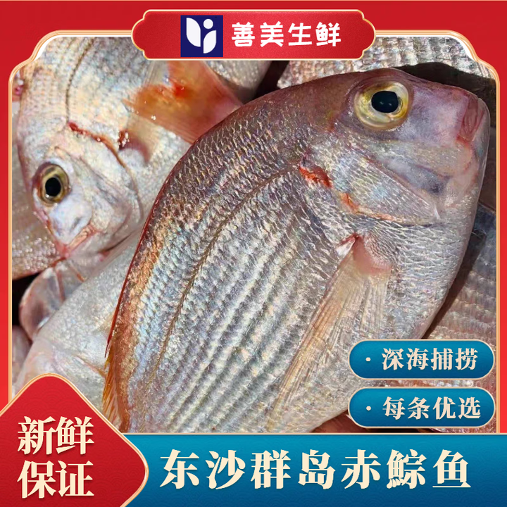 广东海捕赤鯮鱼红立鱼 潮汕新鲜赤棕红鲷鱼 优质海鱼海鲜冷链三斤 5-6条/斤 3斤（杀后有损耗）【图片 价格 品牌 报价】-京东