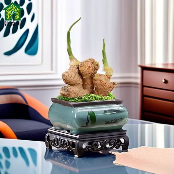 胖東来同款禄根器皿创意禄根专用大花盆灵草好养不当生姜代购 四方山水【小】花盆 其他【图片 价格 品牌 报价】-京东