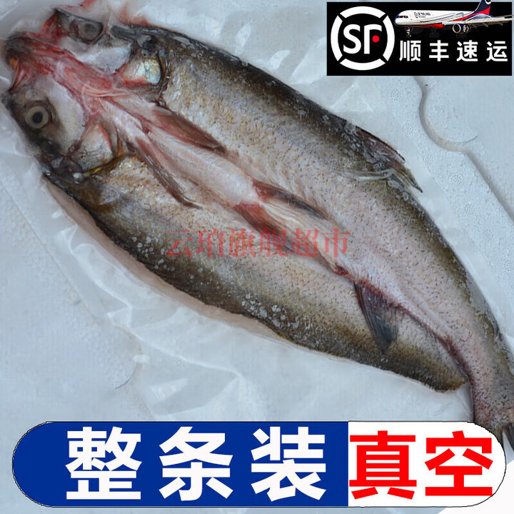 湖北丹江口【翘嘴白鱼】刁子鱼大白刁鱼淡水鱼大鲌鱼新鲜净膛特产 五斤4-6条【每条1斤左右】【图片 价格 品牌 报价】-京东