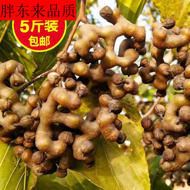 胖东来同款DL品质拐枣新鲜干果水果生吃万寿果5斤泡酒煮茶鸡爪果 1斤 干果【图片 价格 品牌 报价】-京东