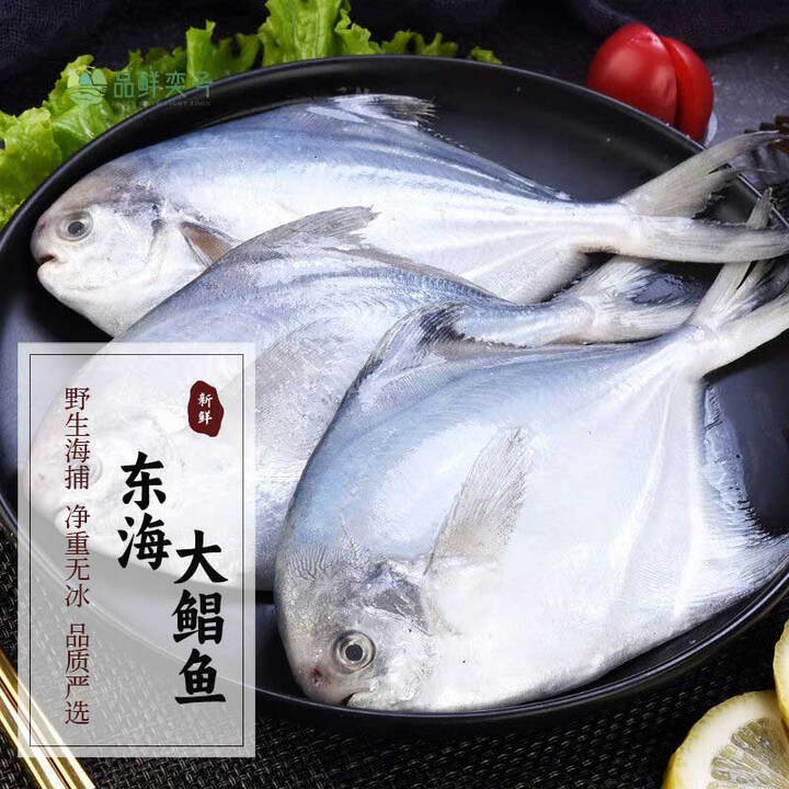 品鲜奕号东海野生超大鲳鱼新鲜海捕银鲳鱼白鲳平鱼昌鱼海鲜水产年货送礼 1.8-2斤每条（2条）【图片 价格 品牌 报价】-京东
