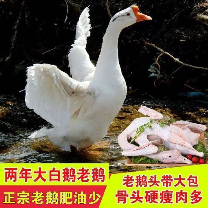 九度维老鹅整只正宗东北大鹅肉新鲜大鹅草原散养鹅肉生鲜狮头鹅土鹅 东北正宗老鹅杀后(6-7斤)(头上有包)【图片 价格 品牌 报价】-京东