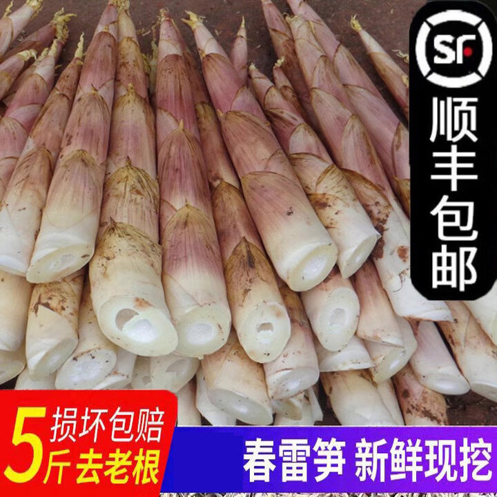 【顺丰到家】春笋鲜竹笋雷公笋现挖嫩笋雷笋尖野生小笋冬笋新鲜蔬 1500g【图片 价格 品牌 报价】-京东