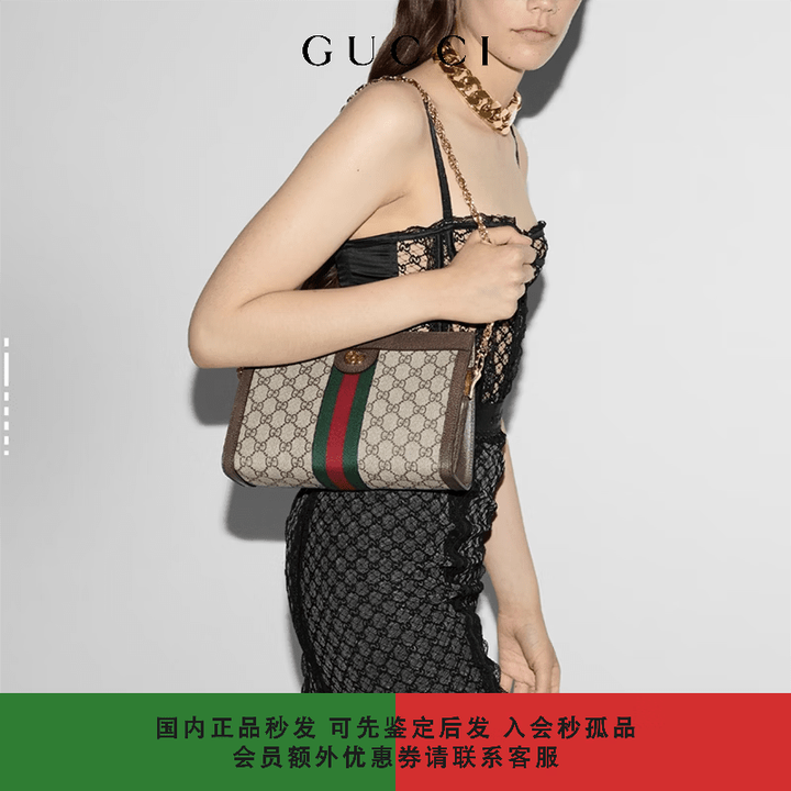 古驰(GUCCI)女包斜挎包手提包单肩包 帆布拼皮革 小号 女款 乌木色 米色拼乌木色【图片 价格 品牌 报价】-京东