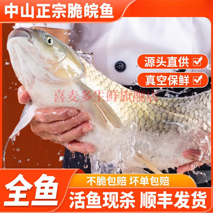 脆皖鱼活鱼脆肉鲩鱼整条鲜活中山脆肉皖鱼片鱼腩脆鱼皖鱼冷冻生鲜 A+吊水活鱼14斤以上放血去内脏 精细分切好【图片 价格 品牌 报价】-京东
