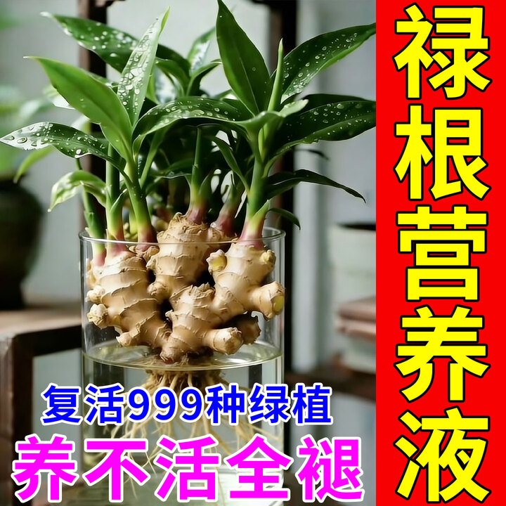 水培禄根营养液仙草生姜山植物盆栽治黄叶促生根催发芽防腐烂肥料 水培营养液 200ml 5瓶【图片 价格 品牌 报价】-京东