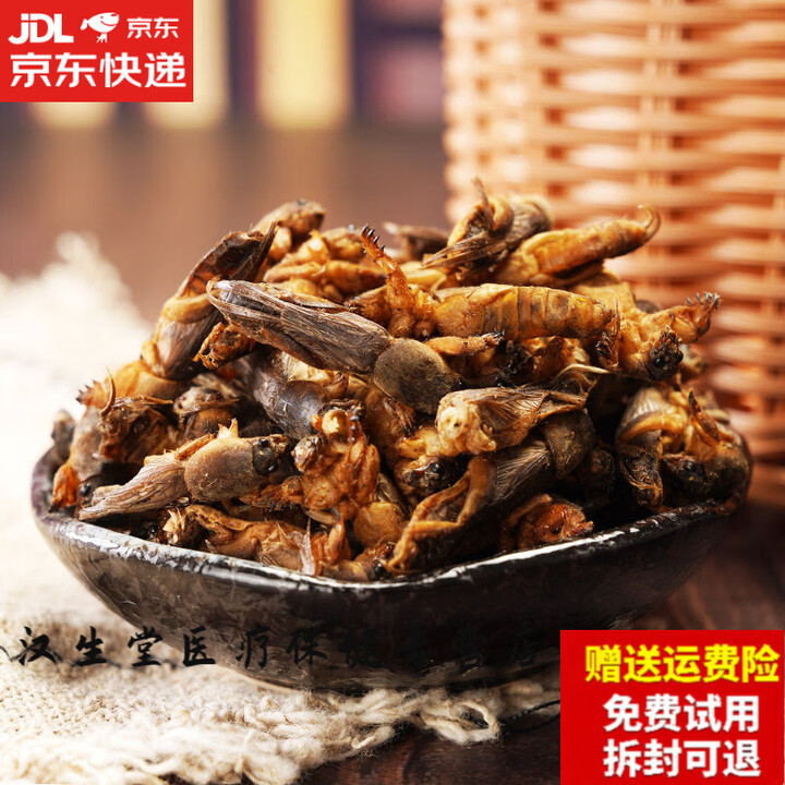 同仁堂（TRT）蝼蛄中药500g新货蝼蛄干东北野生蝲蝲蛄干地拉蛄天蝼土狗子蝼养生 蝼蛄 500g*1袋【图片 价格 品牌 报价】-京东