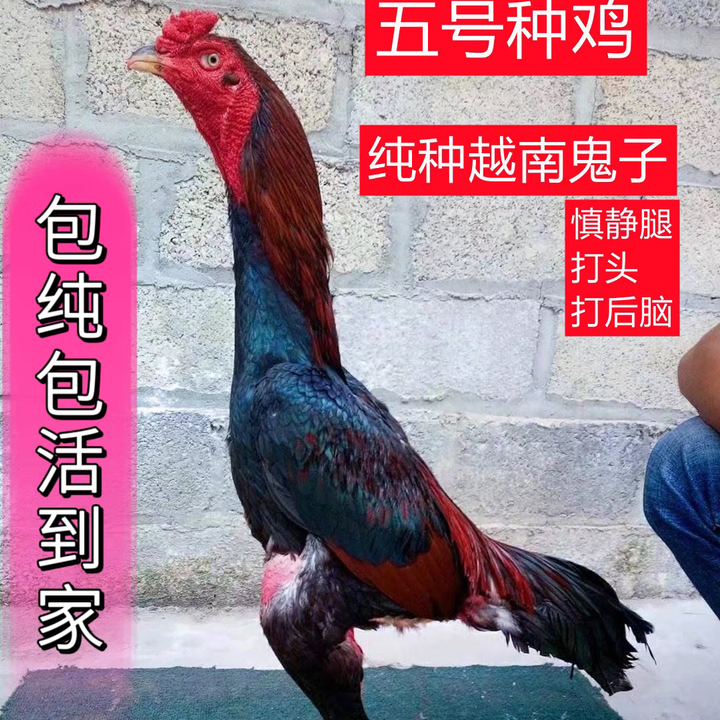 京东(JD.COM)-正品低价、品质保障、配送及时、轻松购物！