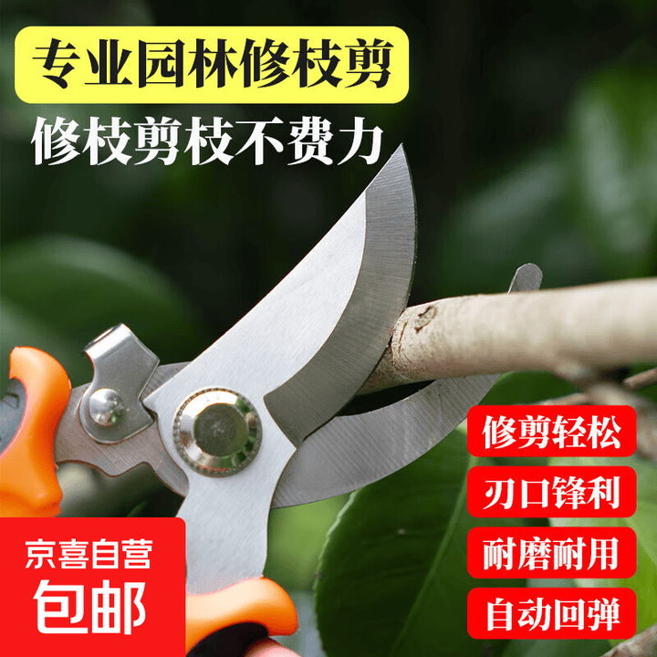 园艺园林果树剪刀修剪树枝盆栽神器家用绿化剪刀枝修剪刀专用工具 强力款粗枝剪【图片 价格 品牌 报价】-京东