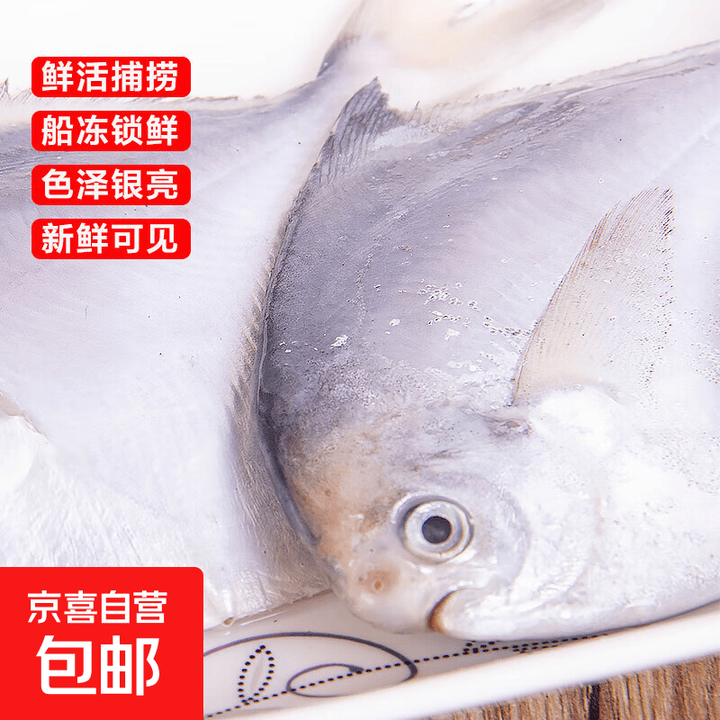 东海白鲳鱼深海捕捞新鲜冷冻生态银昌鱼平鱼扁鱼生鲜鱼类海鲜水产 大号东海白鲳鱼80/100净重400g*5 20-30条【图片 价格 品牌 报价】-京东