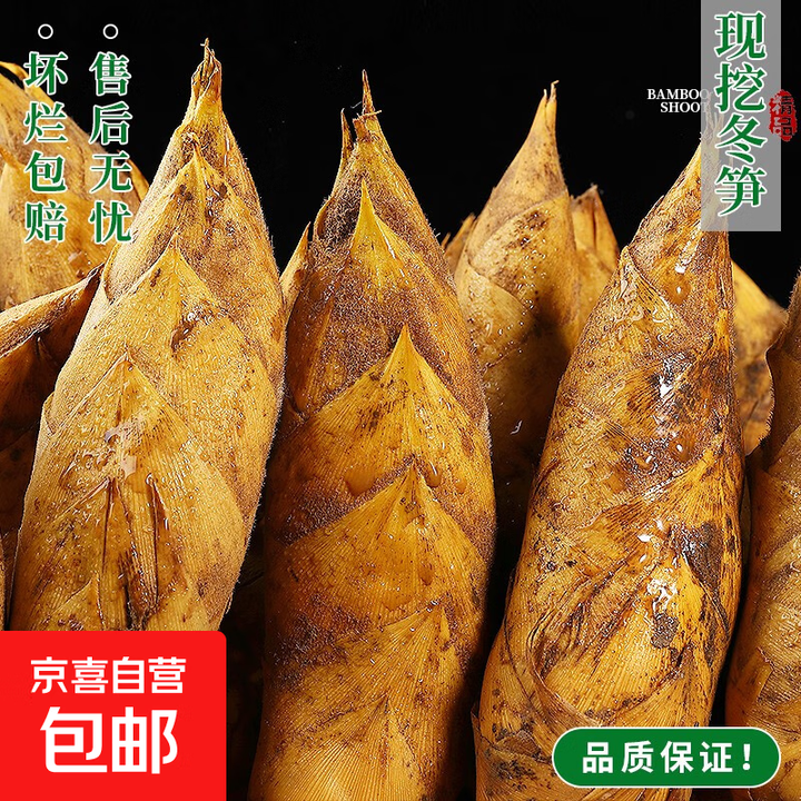 临安春笋天目山特产新鲜现挖嫩笋非冬笋尖健康早餐蔬菜减脂食材 净重2.8斤特大笋 200g起/颗【图片 价格 品牌 报价】-京东