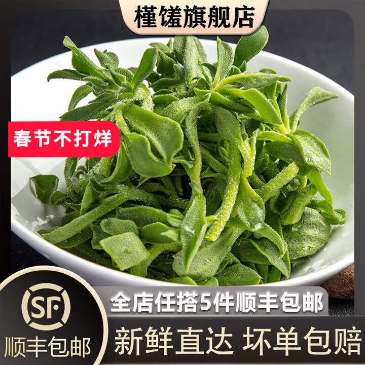 槿馐新鲜冰草300g 冰菜非洲冰叶野菜沙拉蔬菜 凉拌冰草 300g/2盒【图片 价格 品牌 报价】-京东