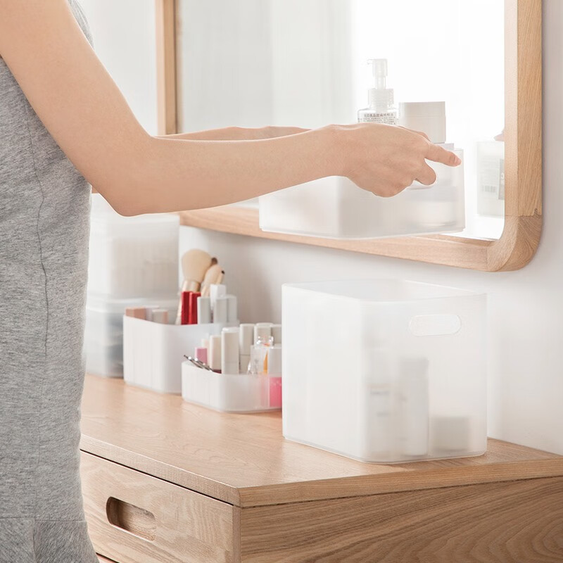 茶花（CHAHUA）茶花收纳盒桌面小盒子收纳格半透明磨砂 分格收纳盒150003 1个装