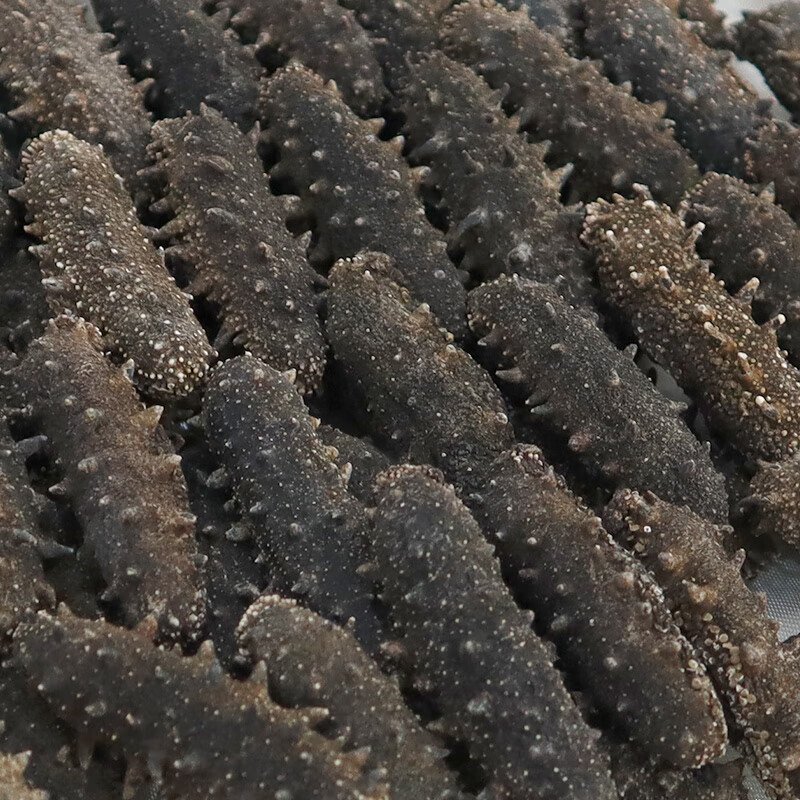 塞翁福 大连底播海参干货辽刺参海鲜水产礼盒 AAAA干海参400g