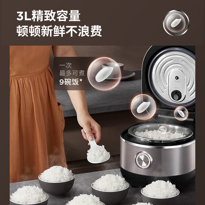 九阳（Joyoung）电饭煲家用 0涂层内胆电饭煲 3L大容量煮粥煲汤 IH电磁加热 不锈钢内胆电饭锅 30N6