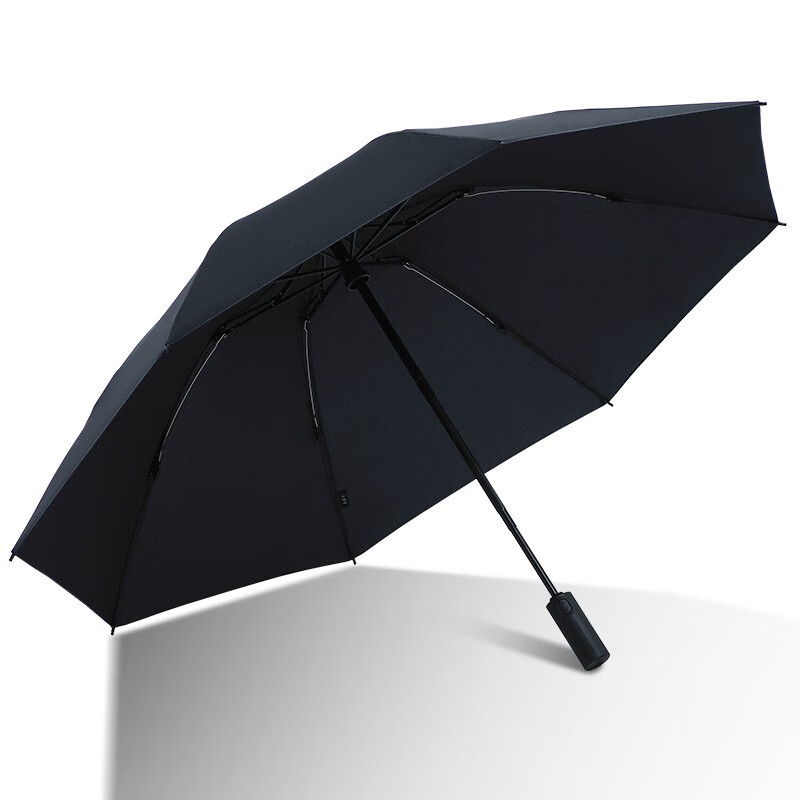 天堂伞全自动抗风拒水雨伞加固便携商务伞折叠反向晴雨伞男女 乌木黑-8骨经典