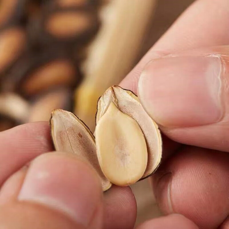 百联 瓜子福建特产甘草瓜子西瓜子大片桶装年货坚果炒货休闲零食特产500g