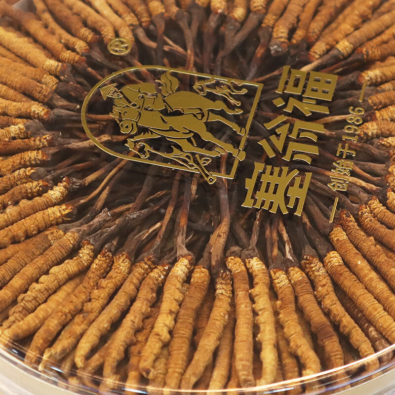 塞翁福 西藏冬虫夏草礼盒装 新干虫草精选礼盒装 虫体饱满 洁净度高 礼盒装50g