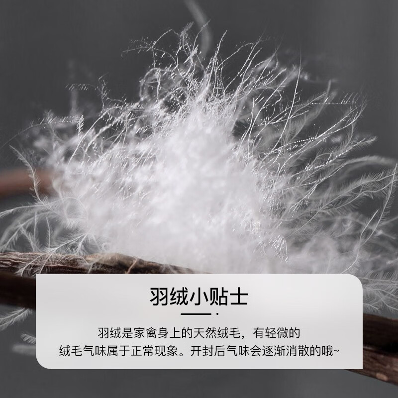 富安娜家纺羽绒被冬被 95%白鹅绒被子四季被芯 冬季保暖单人盖被 缪斯 1.2米床（152*210cm）