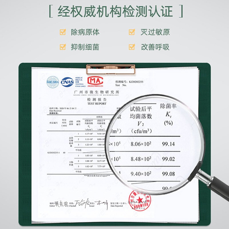 东菱（Donlim） 电风扇台式 家用空气循环净化扇 桌面办公小风扇落地扇轻音除尘杀菌DL-1408 薄荷绿