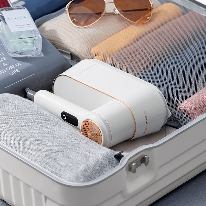 摩飞电器（Morphyrichards）挂烫机 手持挂烫机家用电熨斗 蒸汽熨烫机熨衣机旅游出差便携式MR2032白