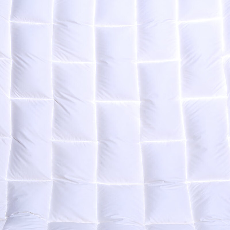 富安娜家纺被芯95%白鹅绒被冬被 羽绒被芯保暖蓬松单人学生宿舍1.2米床