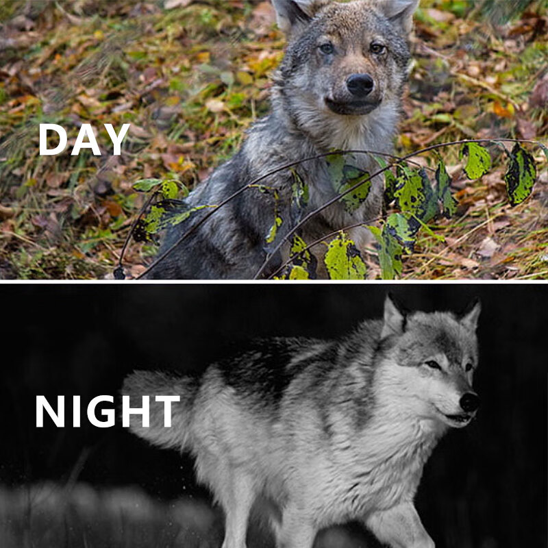 奥尔法（ORPHA）高清双筒夜视仪红外日夜两用录像巡视监察防卫GPS支WIFI DB550L+