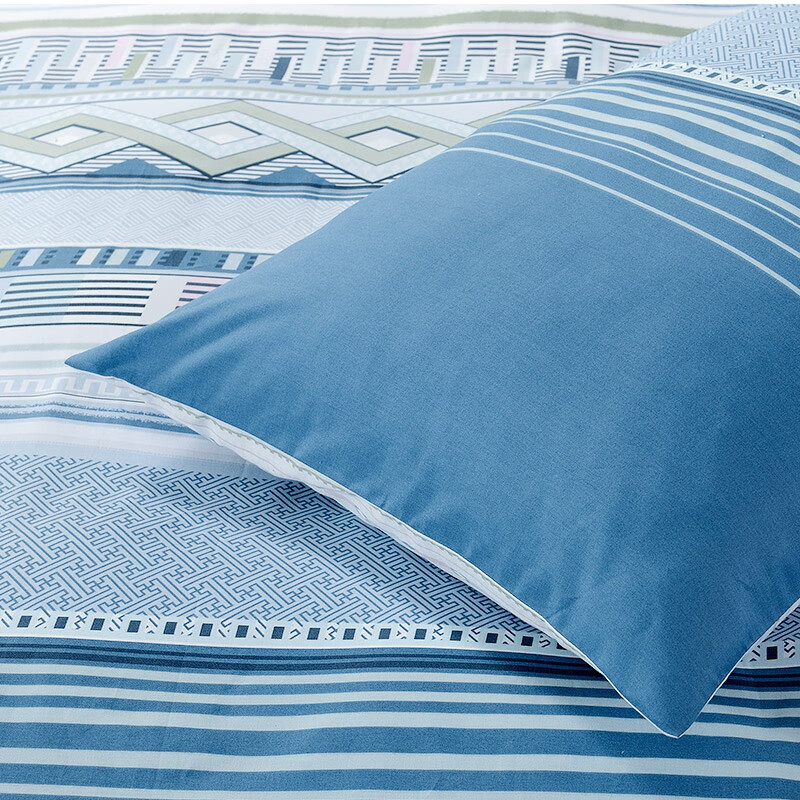 富安娜 床品家纺双人磨毛抗菌床单四件套/漫游天际（被套203*229cm）