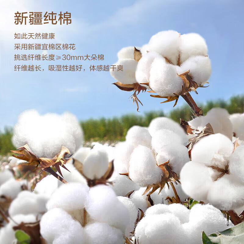 富安娜家纺被芯 春秋棉花被空调被升级单双人盖被1.5米床（203*229cm）