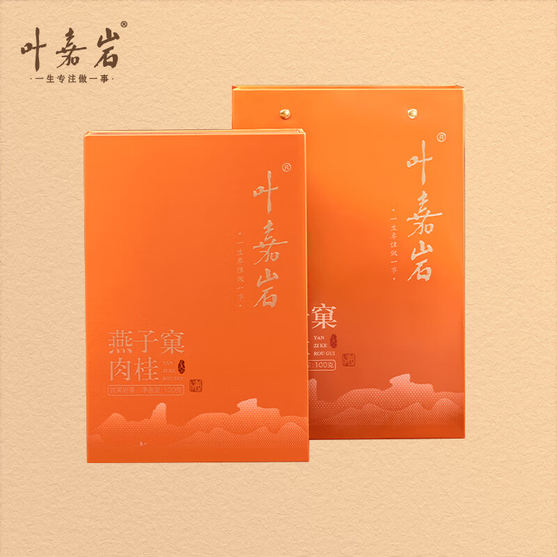 叶嘉岩武夷岩茶燕子窠肉桂口粮招待溪谷留香乌龙茶茶叶礼盒装送礼100g