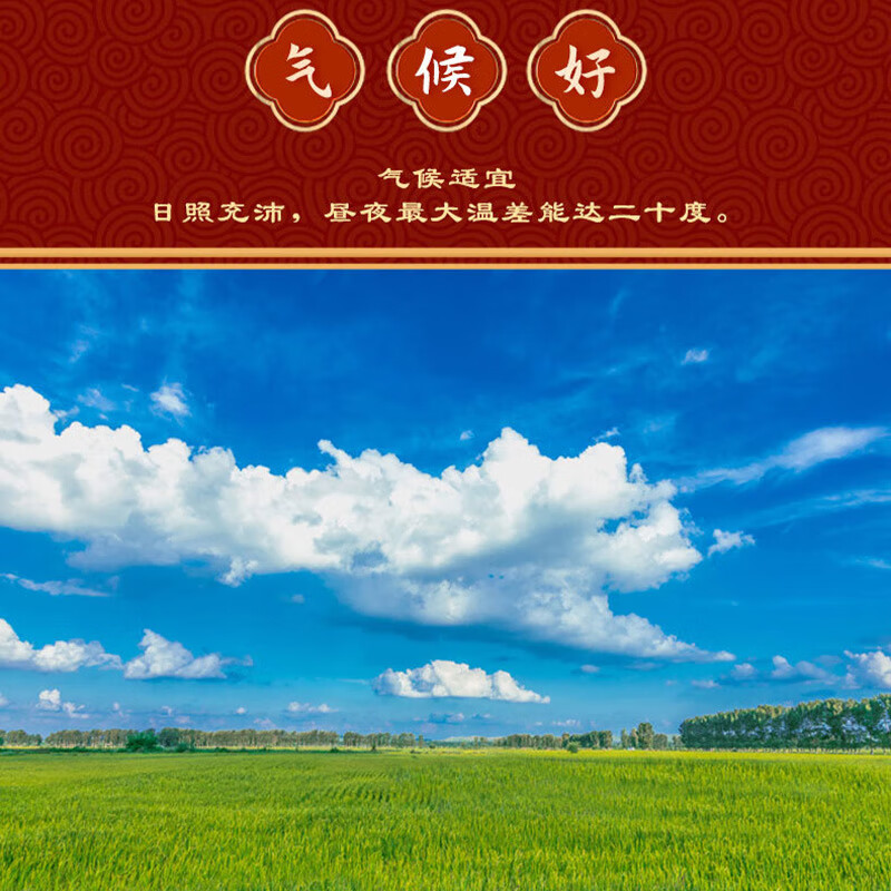 艾逸瑶选 五常福稻5KG