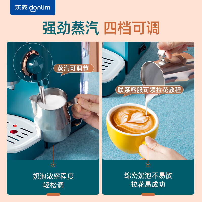 东菱（Donlin）咖啡机 意式浓缩 家用半自动 20bar高压萃取 温度可视 蒸汽打奶泡 DL-KF5400
