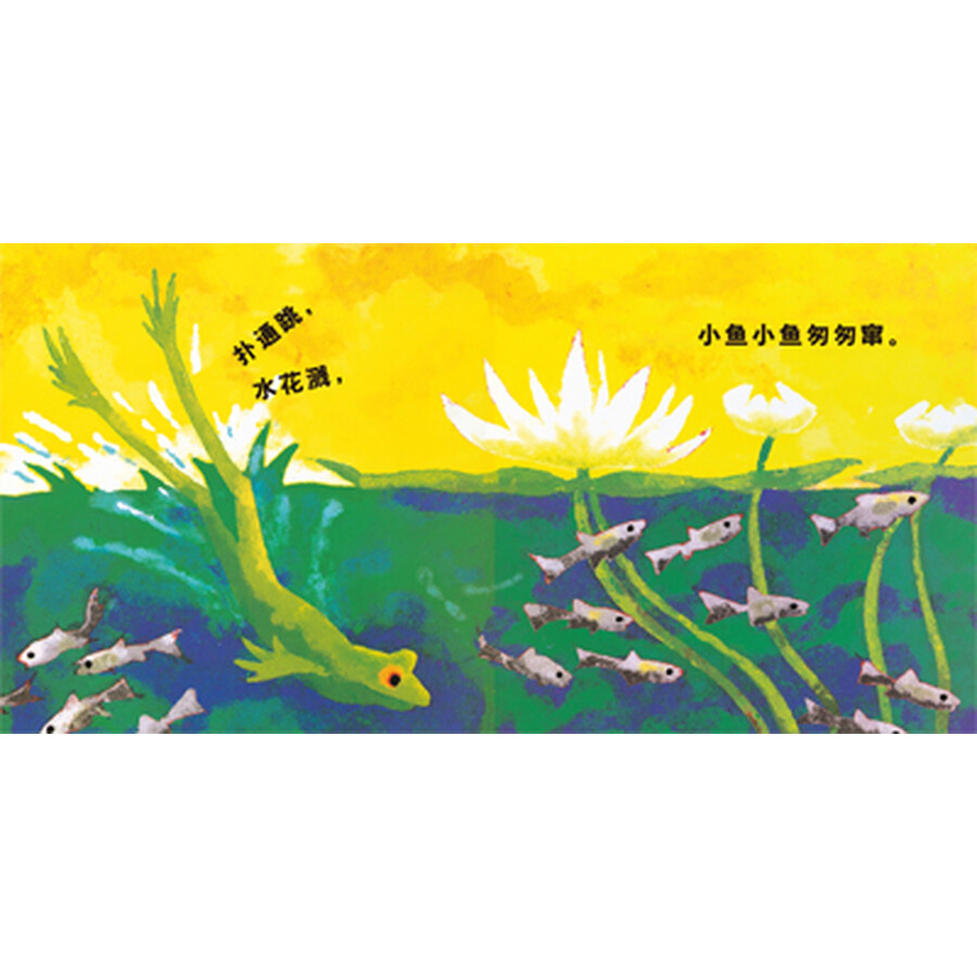 童书 绘本 凯迪克银奖作品:麦克米伦 在那小小的池塘里
