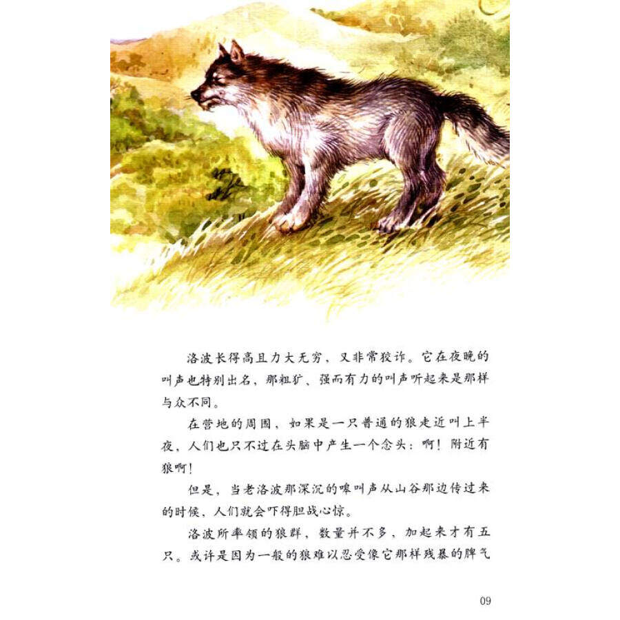 西顿动物小说全集:狼王洛波(珍藏版)