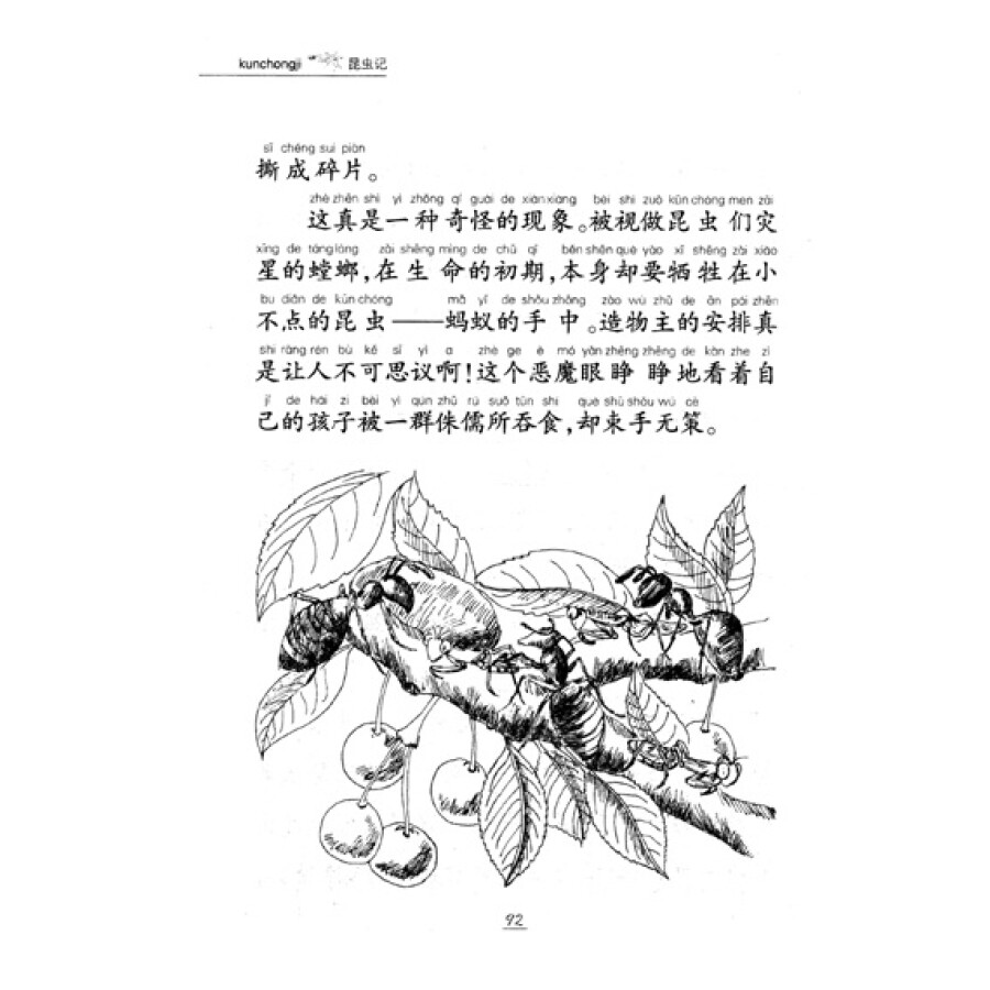 《名著早早讀:昆蟲記(彩色插圖注音版)》([法]法布爾)【摘要 書評