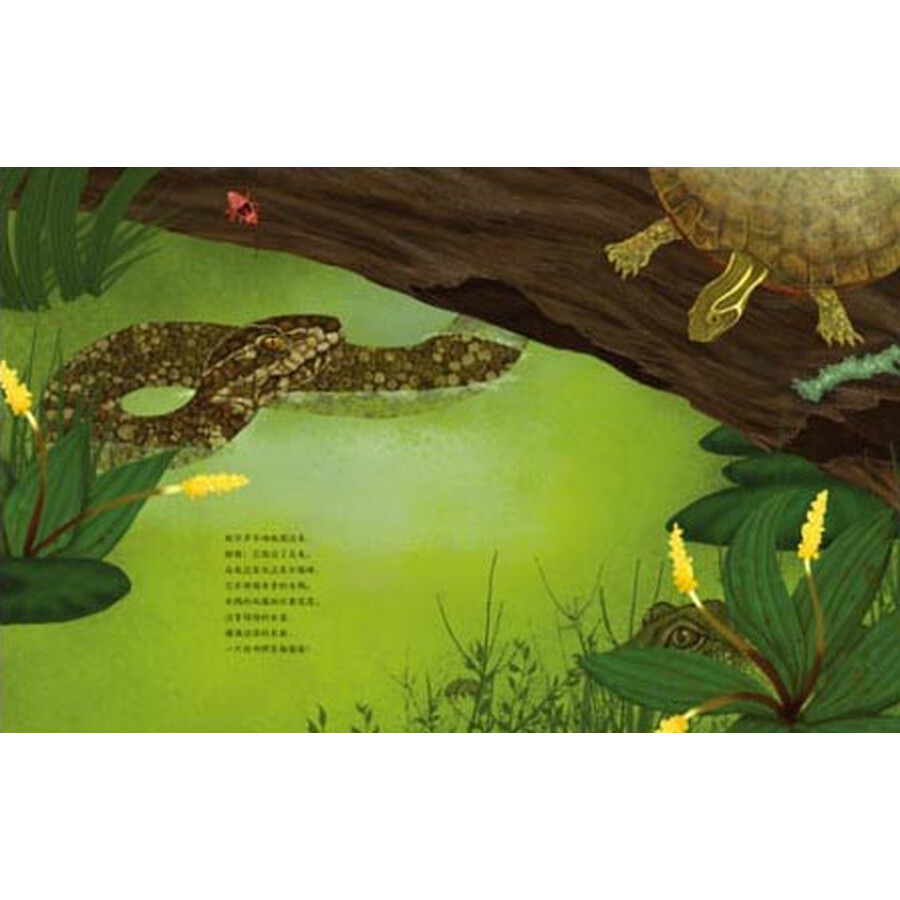 动物成长故事绘本:鳄鱼觅食记