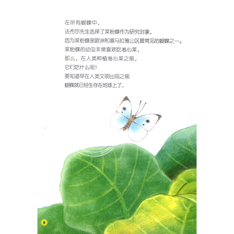 法布尔昆虫记(6):蔬菜大食客·菜粉蝶