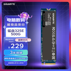 技嘉（GIGABYTE）猛盘325E 500G固态硬盘SSD Gen3 2500E M.2接口(NVMe协议)高速