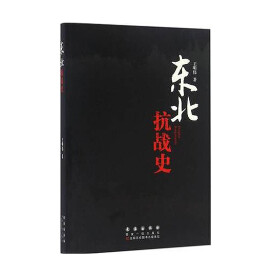 东北抗战史 王明伟 著 中国历史 长春出版社
