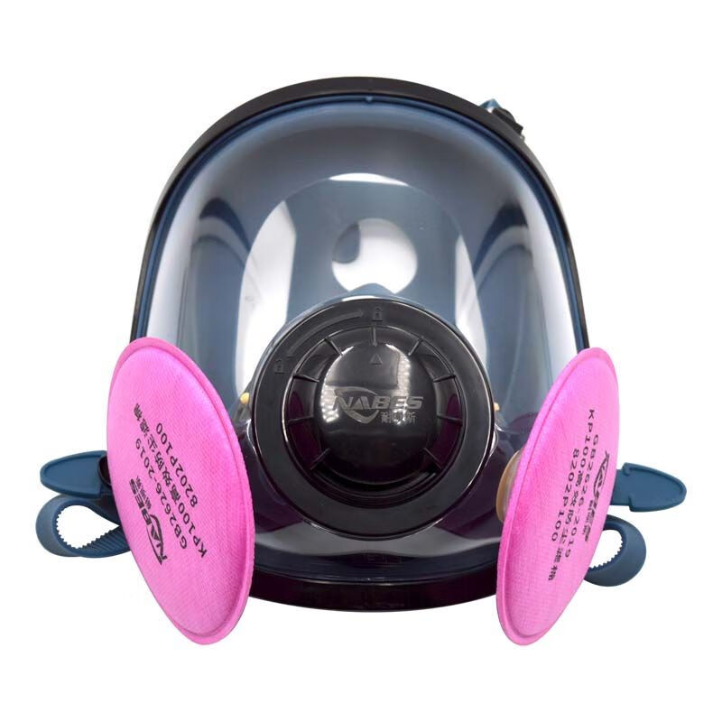 耐呗斯（NABES）8800P100两件套防毒面具8800系列 液态硅胶 防尘 呼吸防护全面罩 1套（京东专享）