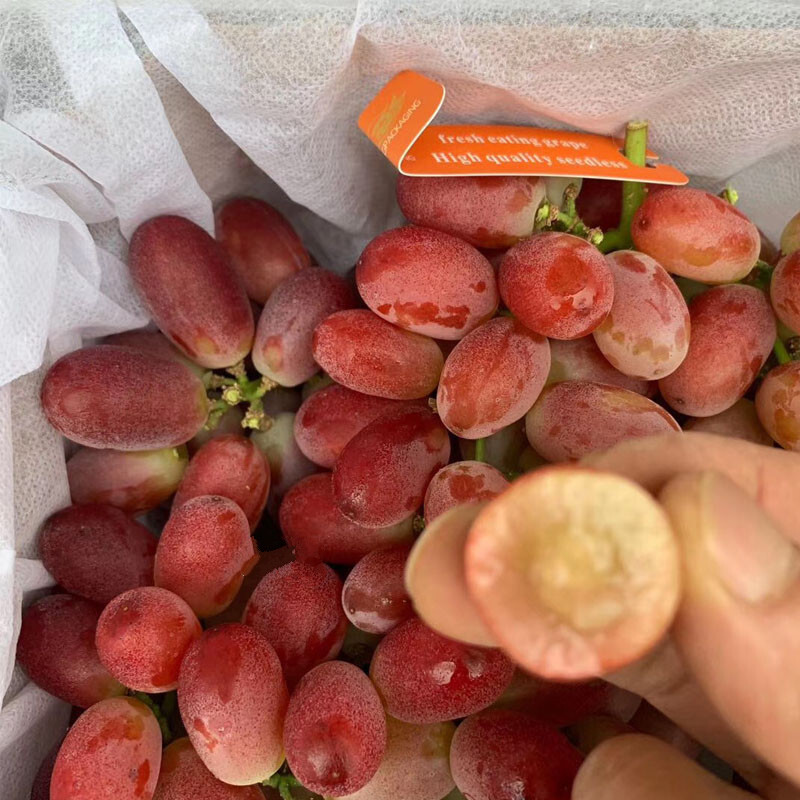 顺丰直达澳洲桂花香无籽红提2斤无核葡萄带香味脆甜时令新鲜水果坏果