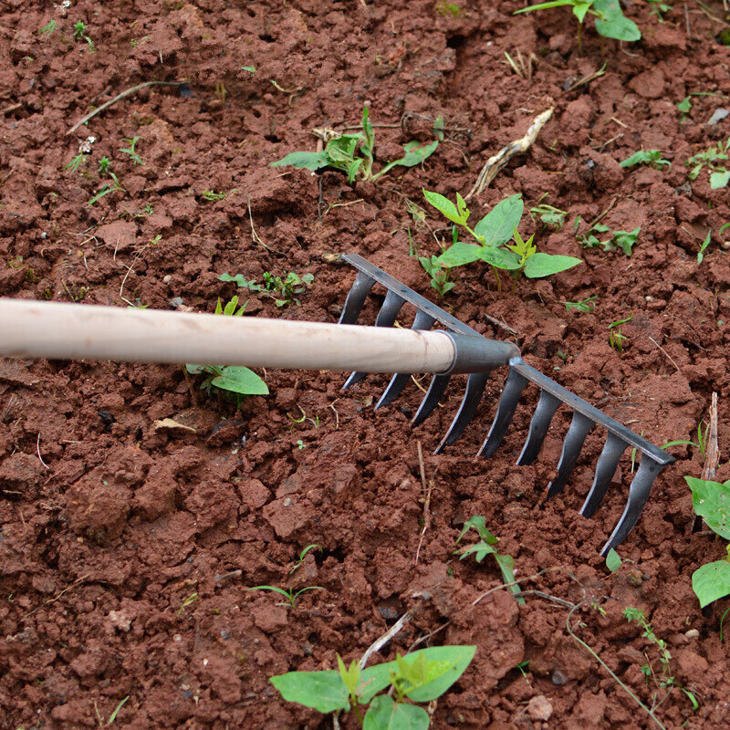 蝶遇九齿钉耙农具草耙子松土耙子铁耙钉耙落叶耙农用园林工具加厚九齿