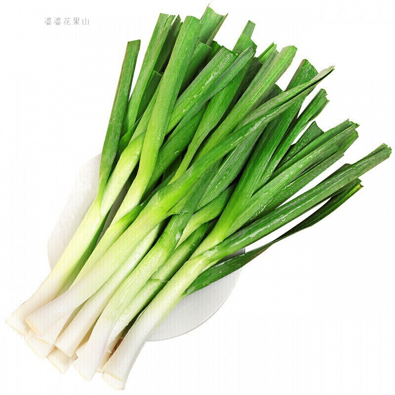 湖北新鲜蒜苗农家自种时令蔬菜嫩蒜苗青蒜本地大蒜苗5斤 2500g【图片