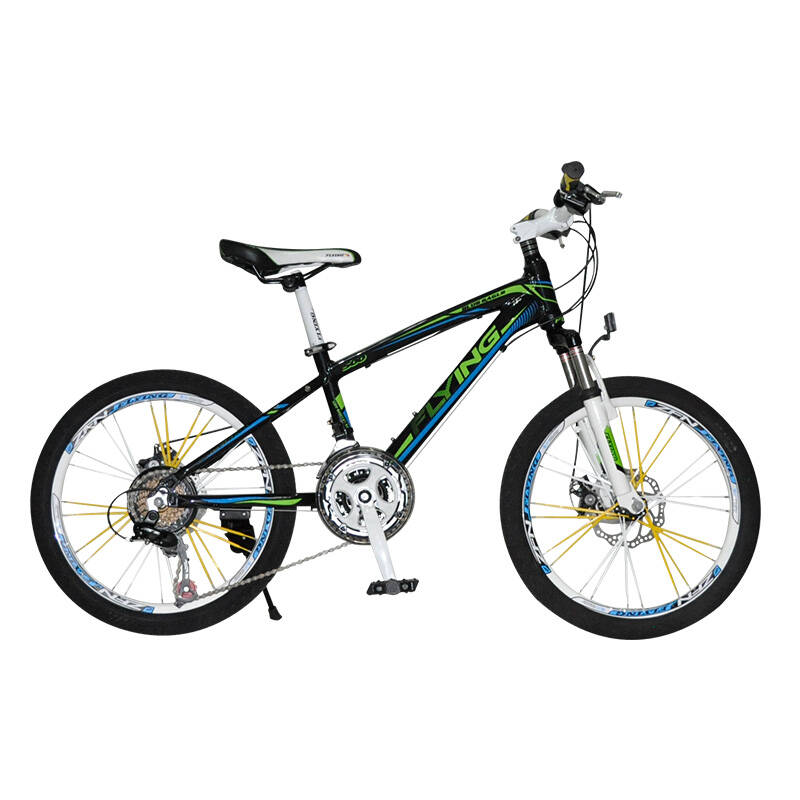 追风鸟自行车21变速铝合金架双碟刹shimano 20寸山地车蓝鹰500 珍珠黑